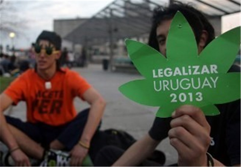 هشدار سازمان ملل متحد به اوروگوئه در مورد قانونی کردن مصرف و تولید ماریجوانا