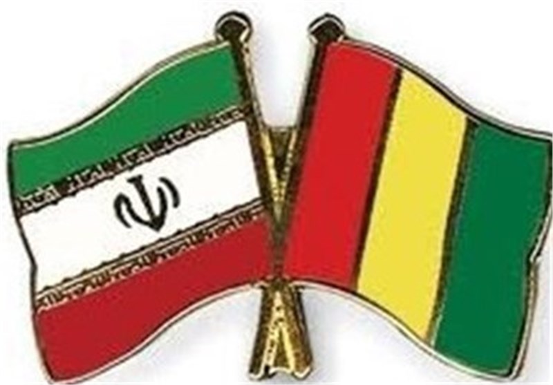 Iran, Guinea to Boost Cooperation in Women Affairs