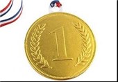 6 مدال طلا توسط پهلوان سوخته سرایی به آستان قدس رضوی اهدا شد