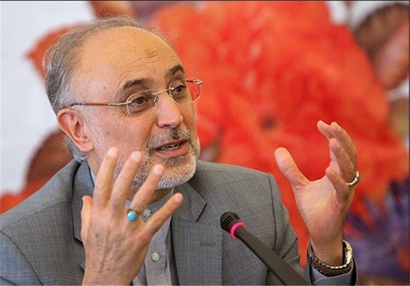 Salehi Predicts Bright Future for Iran