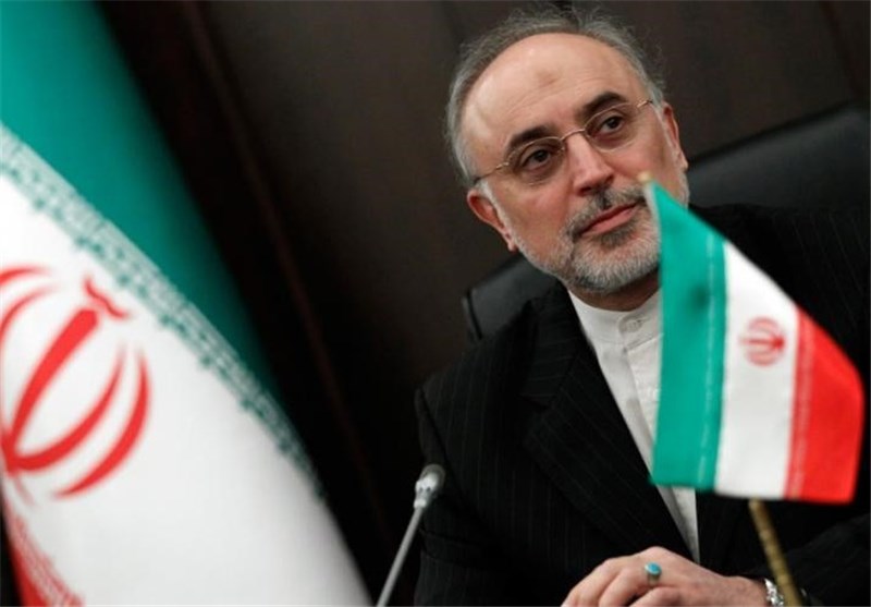 Salehi: Safety Tops Iran’s N. Power Plant Program