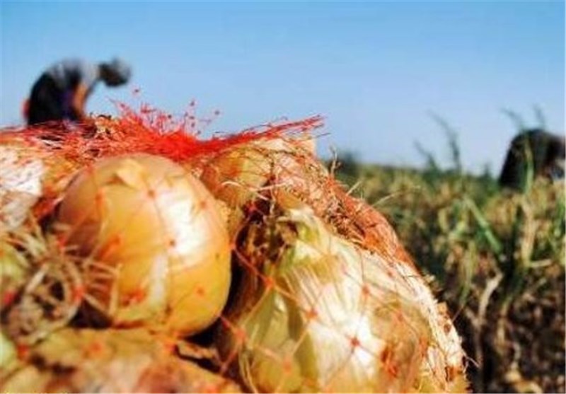 نماینده مردم جنوب کرمان:کشاورزی ما توان رقابت با بازارهای جهانی را ندارد
