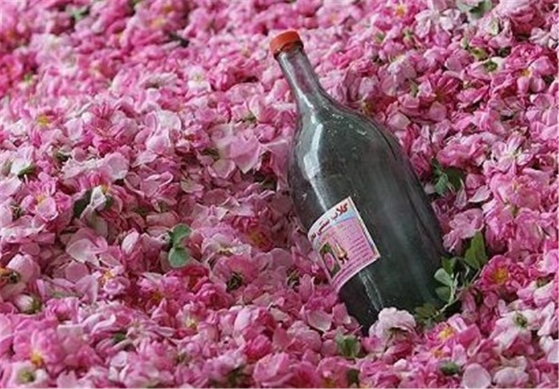 برگزاری جشنواره گل و گلاب در داراب