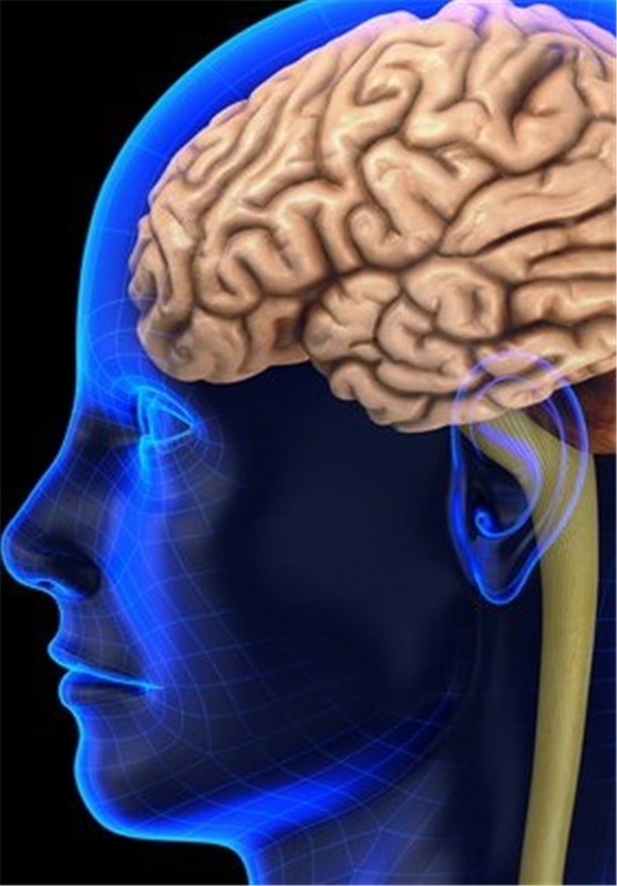 Childhood Concussions Impair Brain >> Childhood Concussions Impair Brain Function Science News Tasnim Childhood Concussions Impair Brain >> Childhood Concussions Impair Brain Function Science News Tasnim