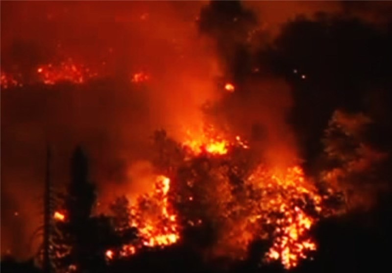 Portugal Calls for More Help to Tackle Deadly Forest Fires