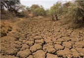 هیچ اعتباری برای مقابله با خشکسالی به خراسان‌جنوبی تعلق نگرفته است