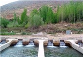 افزایش 7درصدی تولید آبزیان در آذربایجان غربی