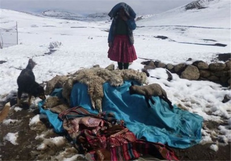 Peru Cold Weather Kills At least 6