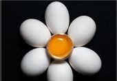 تخم‌مرغ‌های غنی‌شده با ویتامین E به بازار می‌آید
