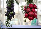 نباید روستاها را صرفا به عنوان ذخیرهگاه مواد غذایی تلقی کنیم
