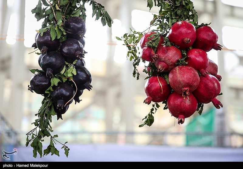 نباید روستاها را صرفا به عنوان ذخیره‌گاه مواد غذایی تلقی کنیم