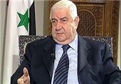 Syrian FM Calls on Countries to End Support for Rebels