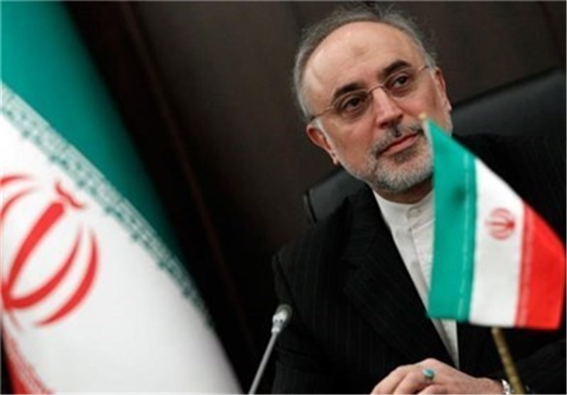 AEOI Chief: Threats, Pressures Fail to Hamper Iranian Progress