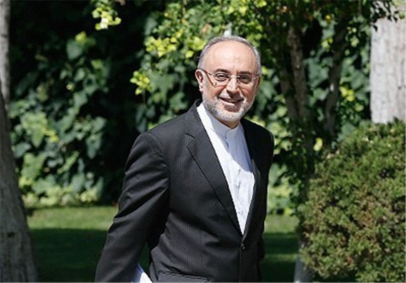 Iran’s Nuclear Chief in Vienna for IAEA Conference