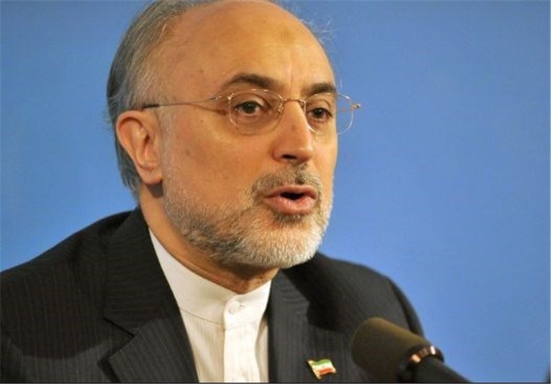 Salehi, IAEA Chief Hold Talks