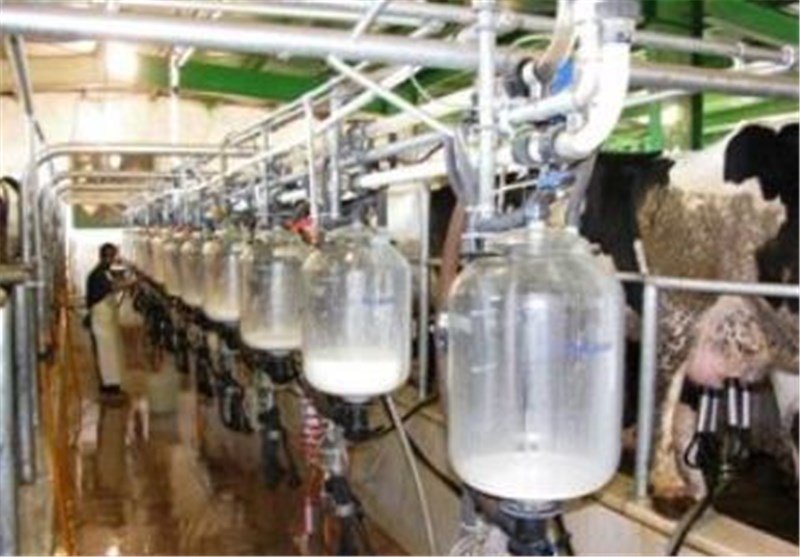 سازمان ملی استاندارد: نظارت و کنترل شیر تولیدی کشور بسیار سختگیرانه است
