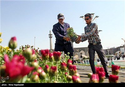 گل فرش امام رضا(ع) در صحن جامع رضوی