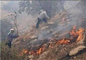 وقوع 144 آتش سوزی در جنگل های کهگیلویه و بویرداحمد/ آتش سوزی 425 هکتار جنگل و مرتع