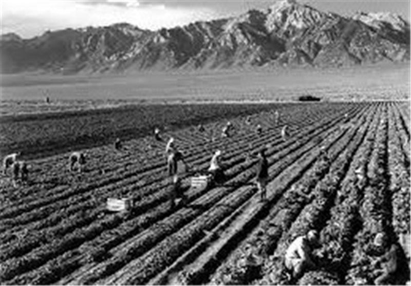 آغاز دور دوم کمک‌های تجاری دولت آمریکا به کشاورزانِ آسیب دیده از جنگ تجاری