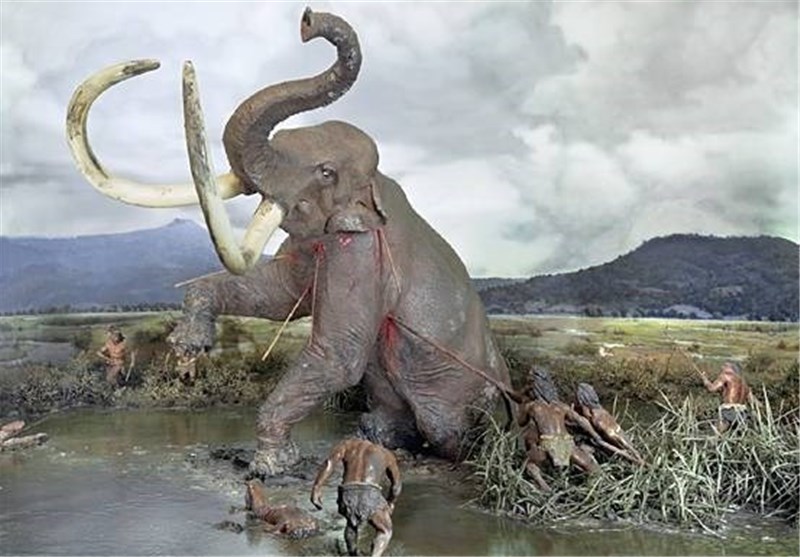 Giant Prehistoric Elephant Slaughtered by Early Humans