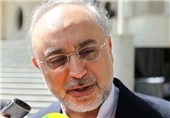 Salehi: Iran to Set UP New Nuclear Reactors
