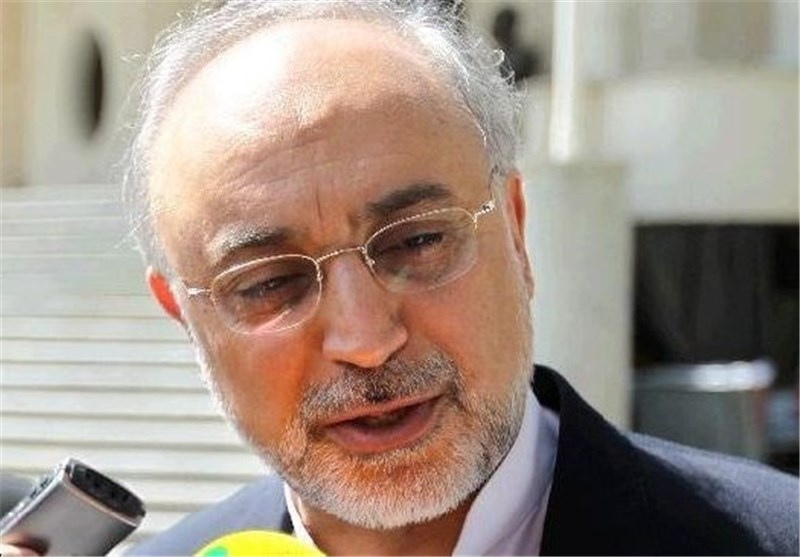 Salehi: Iran to Set UP New Nuclear Reactors