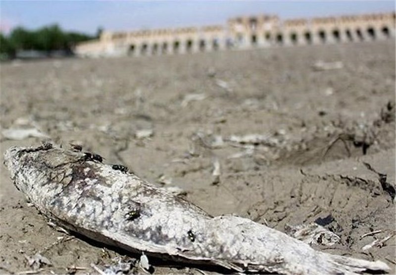 کمیته احیای دریاچه ارومیه، خشکسالی زاینده‌رود را در دستور کار قرار دهد