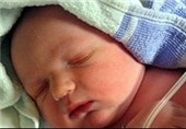 نرخ ولادت در خراسان شمالی افزایش یافت