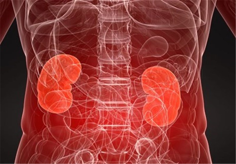 Existence of Protein in Blood Can Be Early Predictor of Kidney Disease
