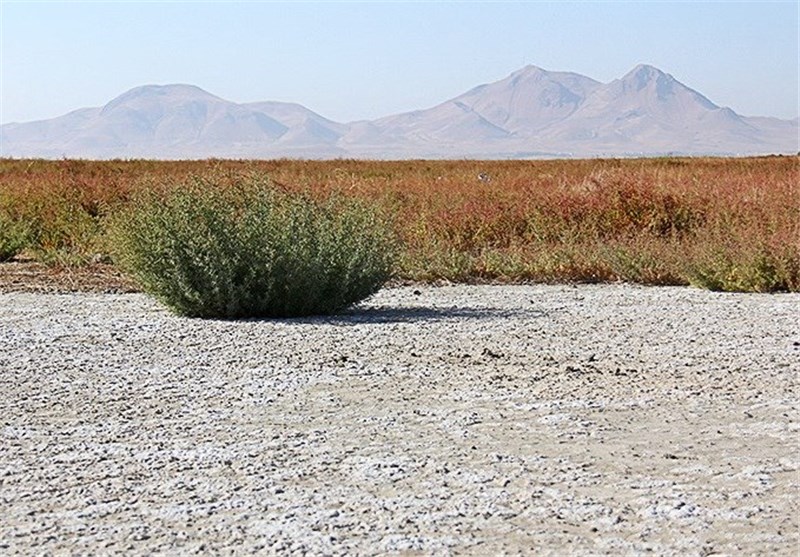 رهاسازی سالانه یک میلیارد متر مکعب آب مازاد، دریاچه ارومیه را نجات می‌دهد