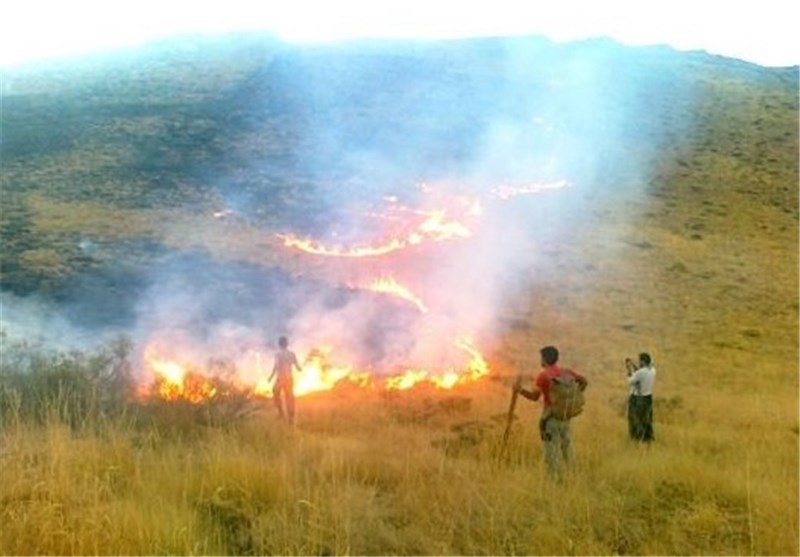 آتش این‌بار گریبان مراتع اسدآباد را گرفت/تداوم آتش‌سوزی‌ها در سطح منابع طبیعی استان