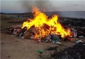 امحای 11 تن مواد فاسد غذایی در خلیل آباد