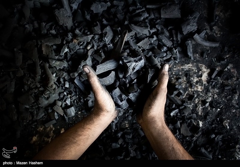 تولید زغال از جنگل در کوهدشت؛ با مخربان محیط‌زیست برخورد شود