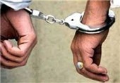 بازداشت دو مدیرعامل سابق منطقه آزاد قشم