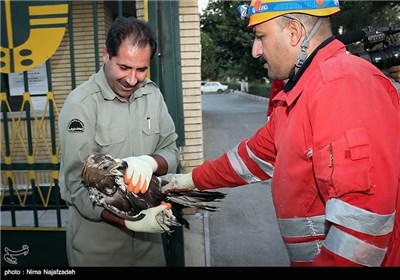 عملیات نجات عقاب طلایی در مشهد