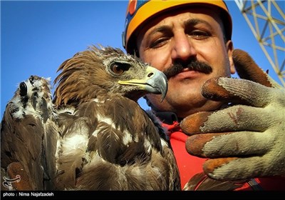 عملیات نجات عقاب طلایی در مشهد