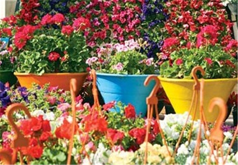جشنواره گل و گیاه در محلات برگزار می‌شود