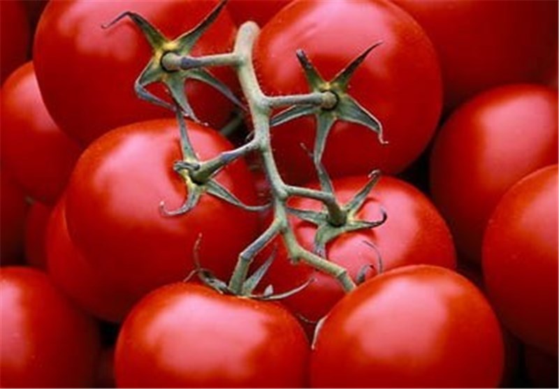 کمبود تولید قیمت گوجه فرنگی در بازار مشهد را به 5000 تومان رساند