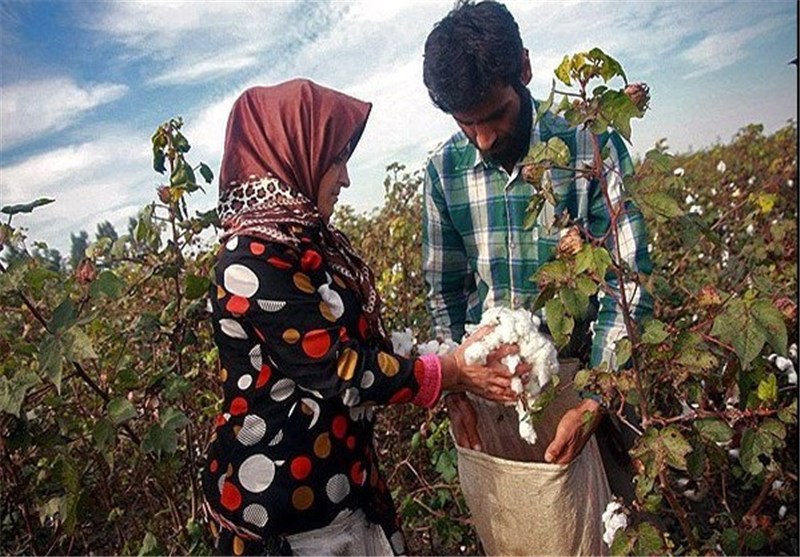 خرید توافقی 54 هزار تن محصولات کشاورزی در خراسان شمالی