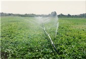 ضرورت مصرف بهینه آب کشاورزی در خلیل آباد