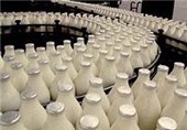 روزانه 15 تن شیر در کشت و صنعت اسفراین تولید می‌شود