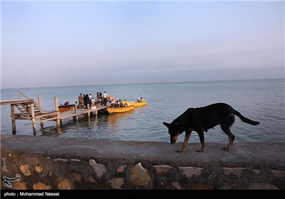 سده‌های گذشته در پی عملکرد و فعالیت گروه‌های انسانی با حفر کانال از توده اصلی خشکی خود (شبه جزیره میانکاله) جدا افتاده‌است