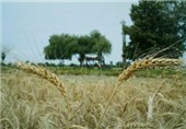 بهره‌برداری از 41 طرح کشاورزی در اردبیل آغاز می‌شود