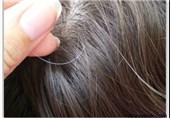 روغن سیاه دانه از سفید شدن زودرس مو جلوگیری می کند