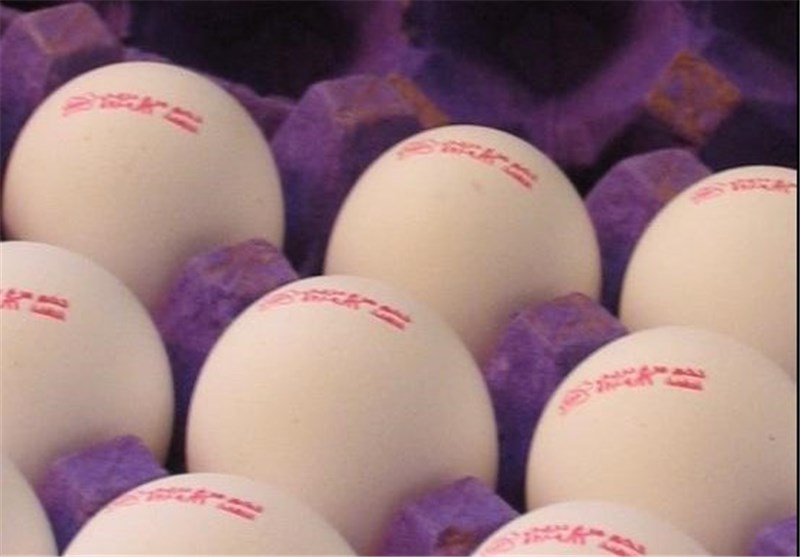 14 هزار و 800 تن تخم‌مرغ در همدان تولید می‌شود