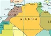 انهدام یک شبکه اعزام شبه‌نظامی به سوریه در مراکش