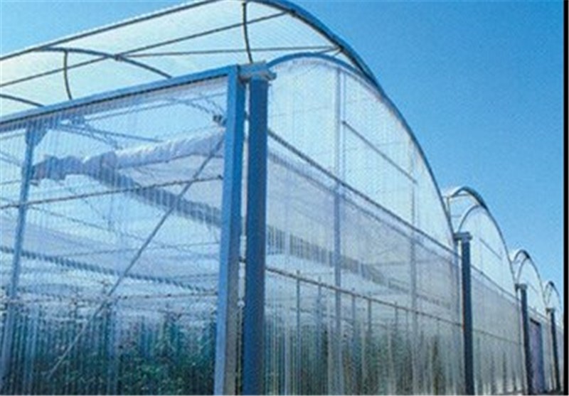 شهرک‌های گلخانه‌ای در استان لرستان احداث می‌شود