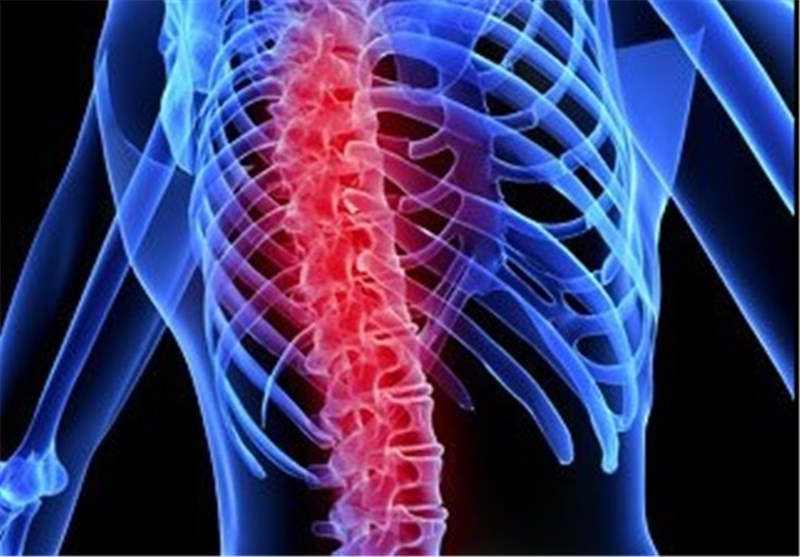 Spinal Circuitry Responsible for Chronic Pain Charted