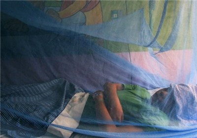 پشه‌های بیماری‌زا در کمین مردم شرق کشور / خطر ورود و شیوع بیماری تب دانگ از مرزهای شرقی