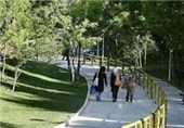 پارک جنگلی وکیل آباد مشهد با مصالح طبیعی بازسازی می‌شود